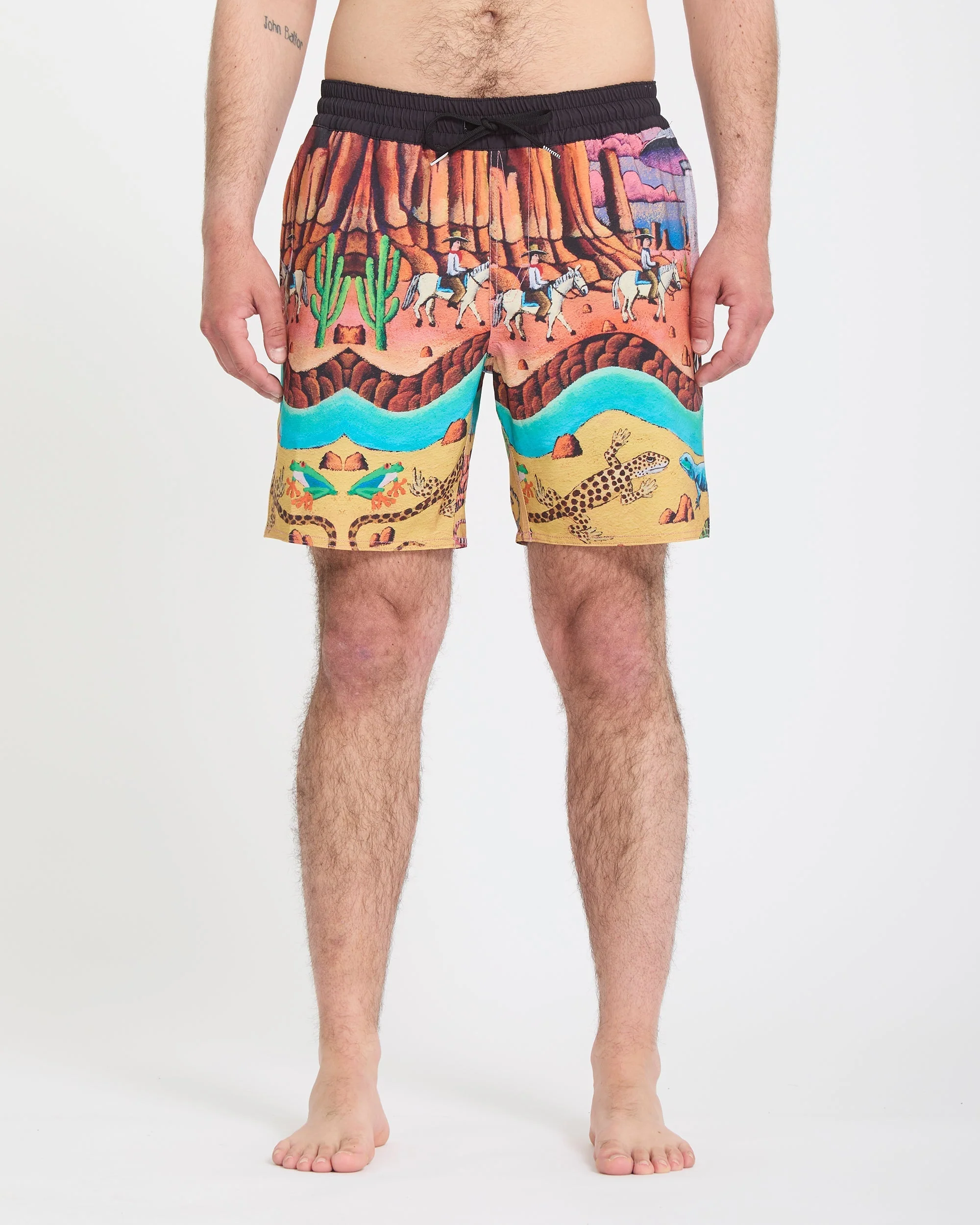 Mickey Mason Trunk 17" Boardshorts - Multi - Image 2