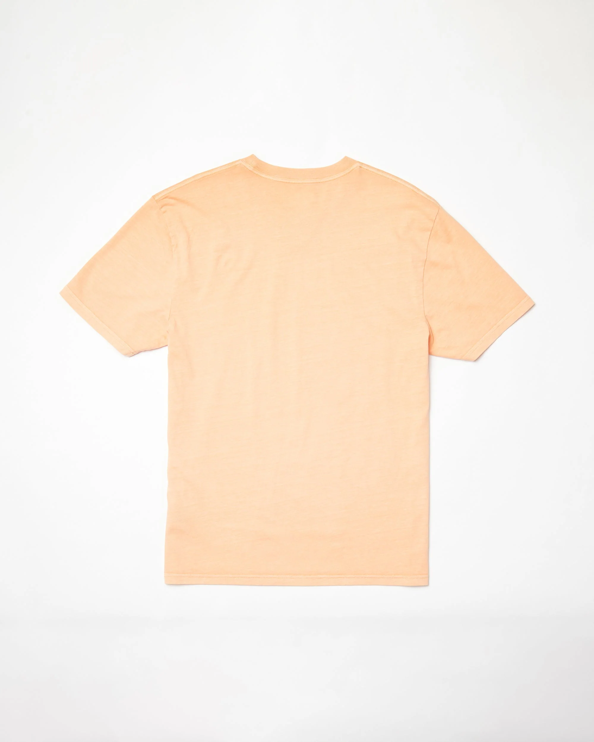 Worldly T-shirt - PALE PEACH - Image 8